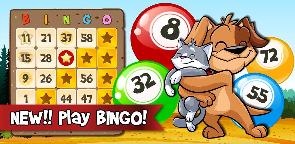 bingo tips